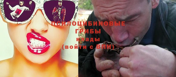 амф Переславль-Залесский