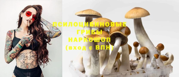 соль курить ск Пересвет