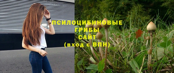 хмурый Абинск